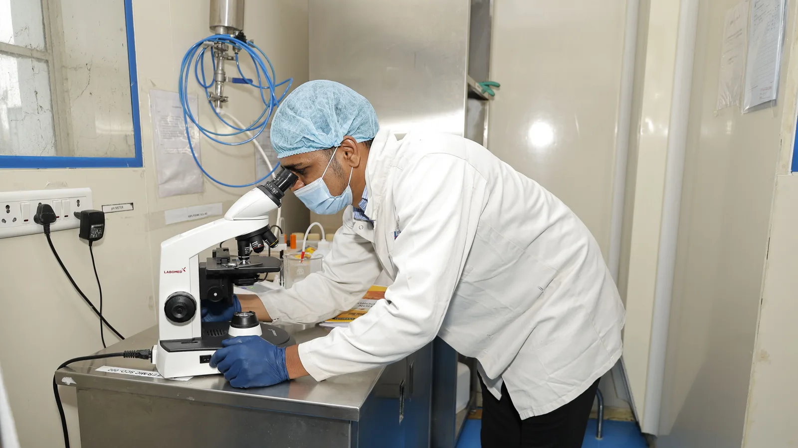 A technologist checking a culture sample under the microscope in the QC lab